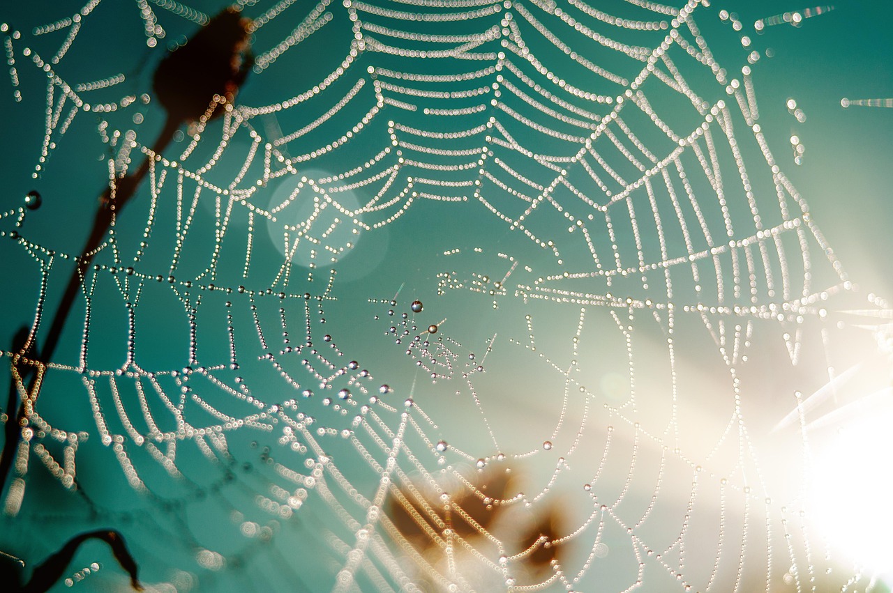 comment sélectionner le meilleur prestataire web pour votre site en Guadeloupe en 2025 ?