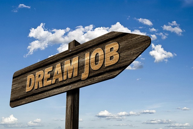 Les nouvelles opportunités d’emploi en 2024 : ce qu’il faut savoir